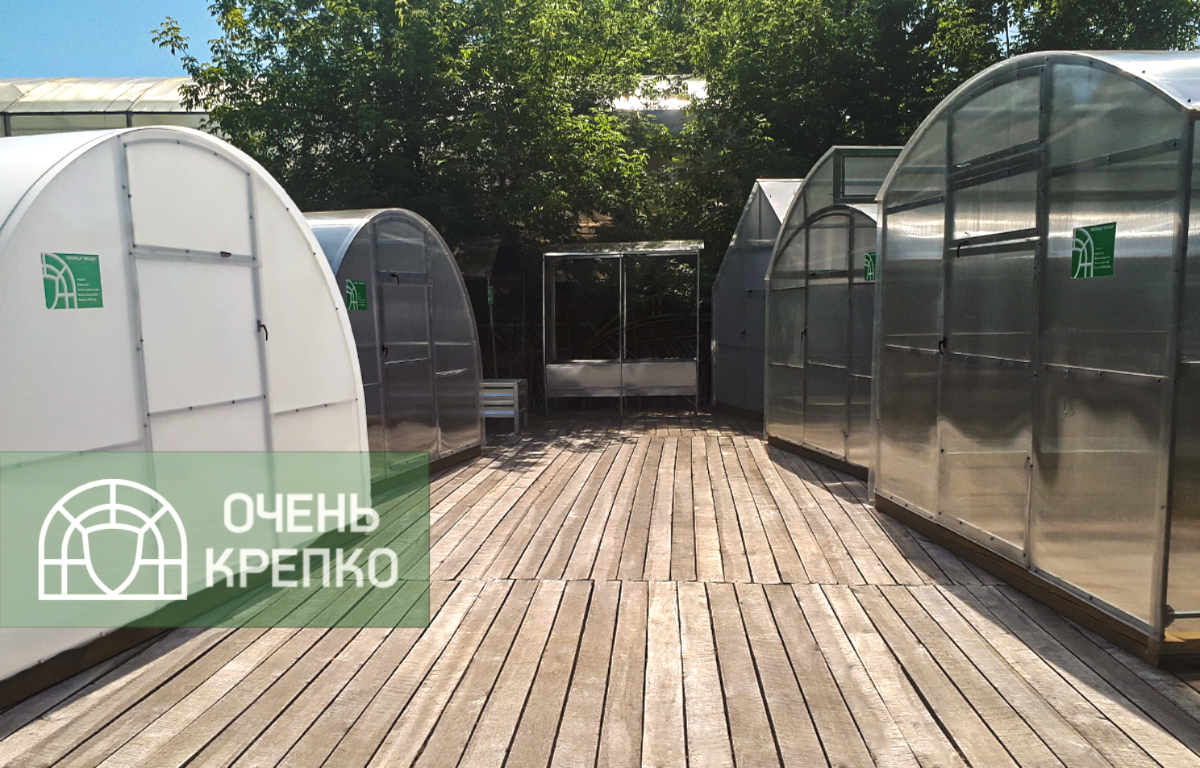Заголовок