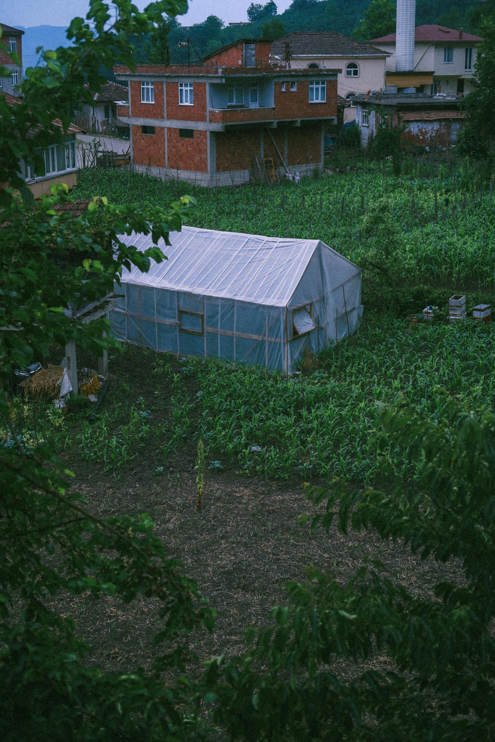 Арочная классика